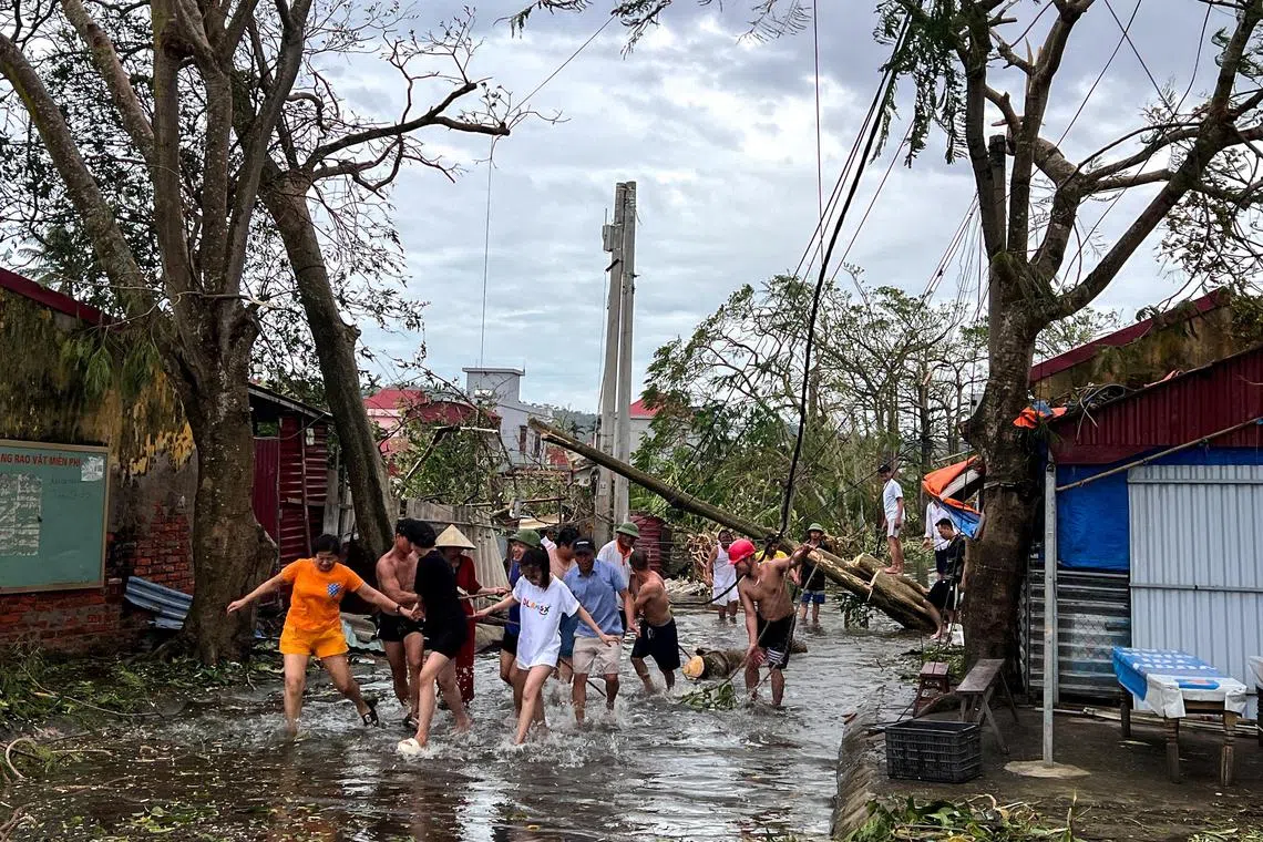 People use ropes to remove fallen trees following the impact of Typhoon Yagi at Hai Phong, Vietnam.