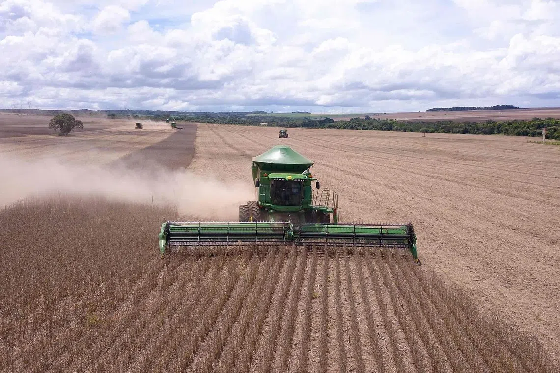 Researchers found that natural predators helped reduce pest populations by more than 70 per cent, while increasing crop yields by 25 per cent