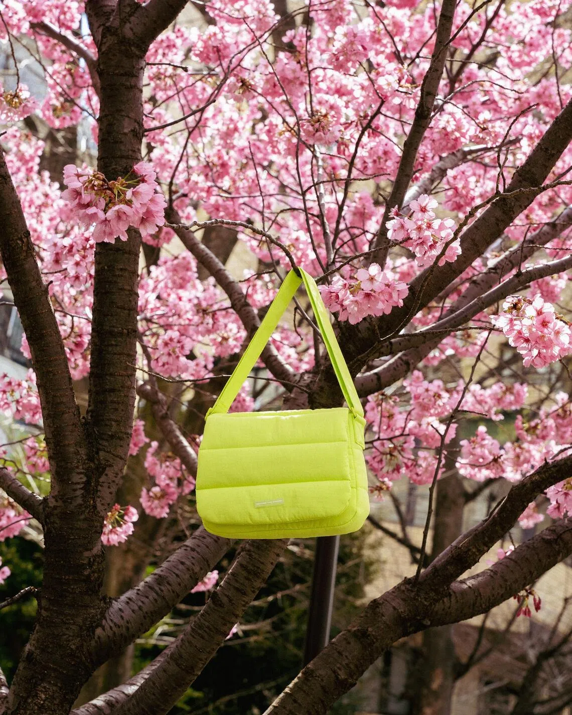 Beyond The Vines Poofy Bag.