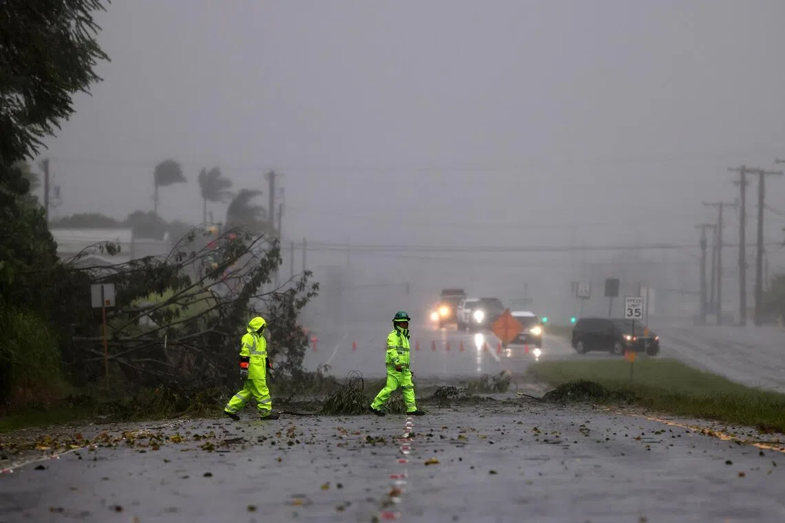 Workers assessing a fallen tree on busy Kanoelehua Ave, in Hilo, Hawaii, on Aug 15.