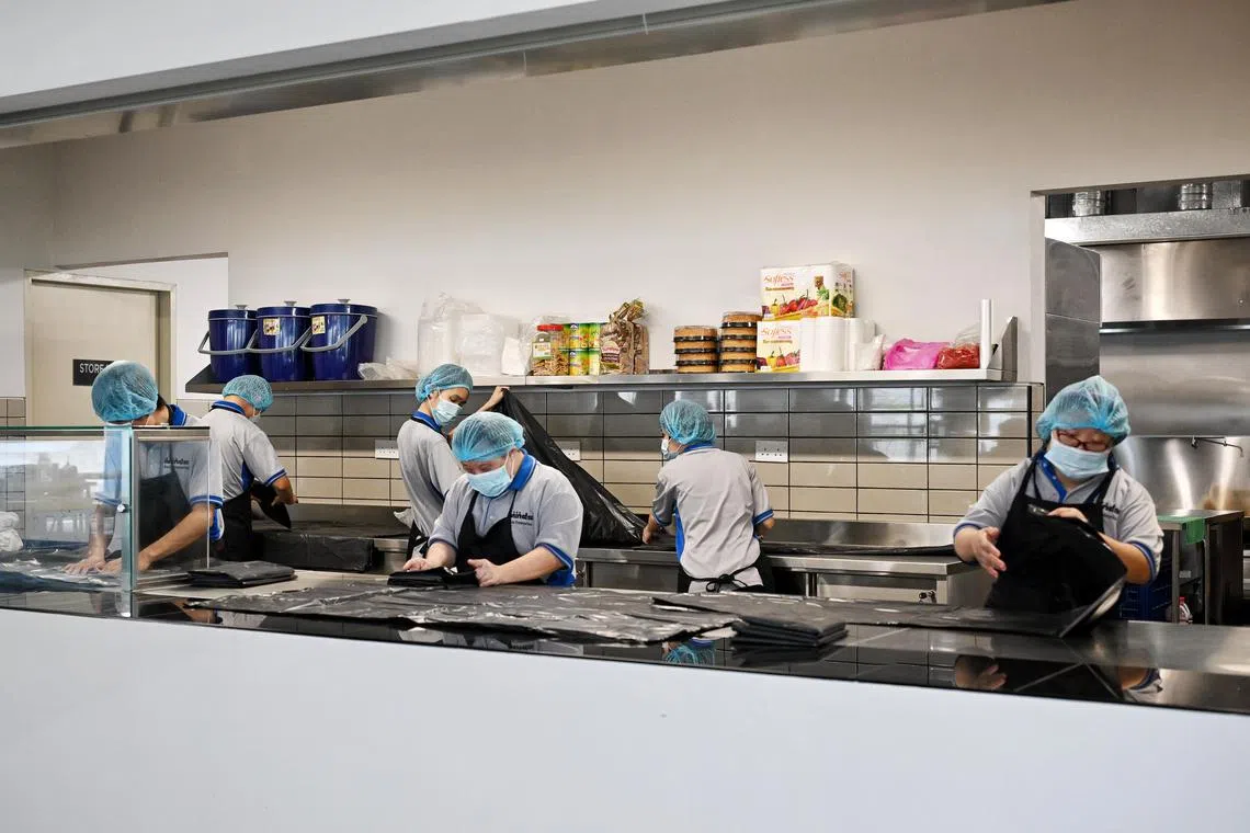 The employment rate of persons with disabilities (PWDs) grew from 28.2 per cent in 2019 to 32.7 per cent in 2023. 