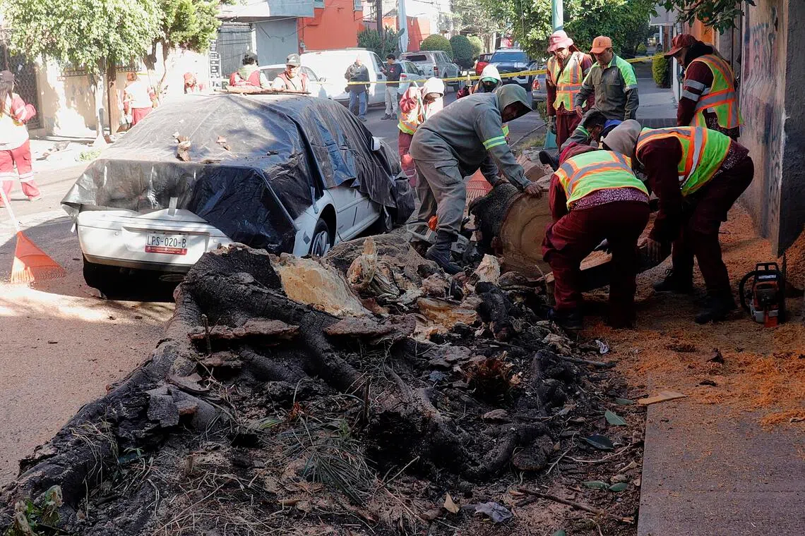 Strong earthquake shakes Mexico's independence monument, hits roads and  hospitals | The Straits Times