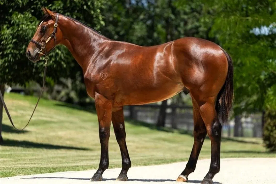 guesthouse18 - Guest House

PHOTO:  RACING AND SPORTS
photo to ST Racing folder