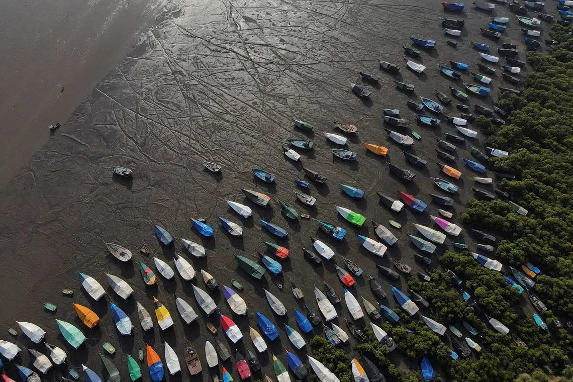 An aerial view of fishing boats covered with tarpaulin sheets parked on the shore, before the start of the monsoon season on the outskirts of Mumbai, India, June 8.