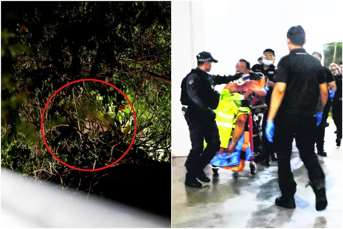 The man was subdued after a three-hour standoff.