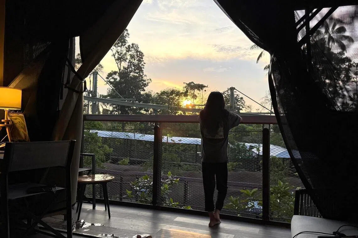 The tent’s patio offers a view of the sunrise over Mandai.