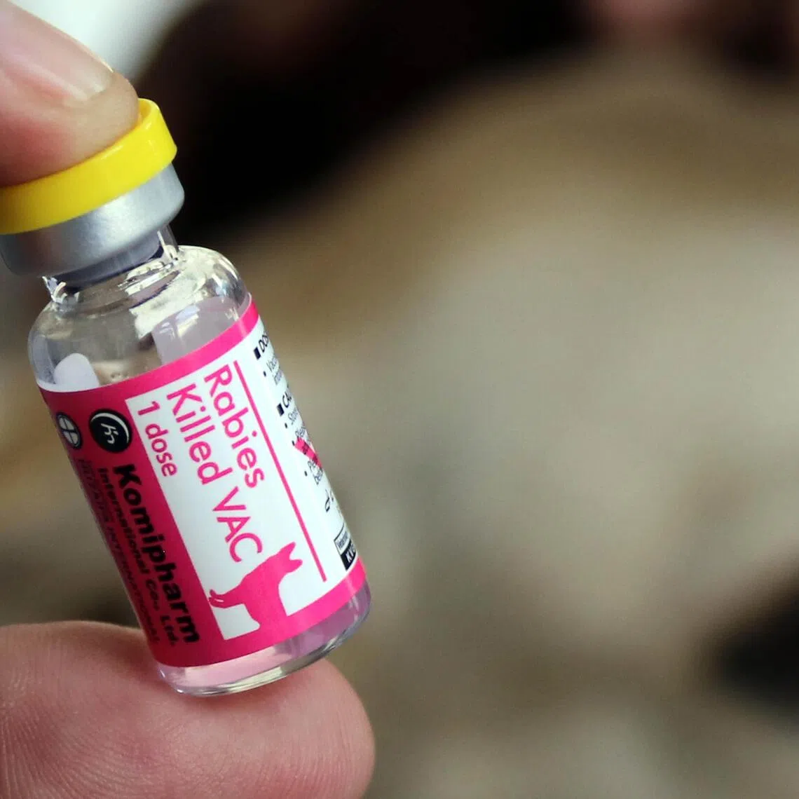 The Veterinary Services Department said it was alerted to the incident by the Kedah Health Department on Sept 24.