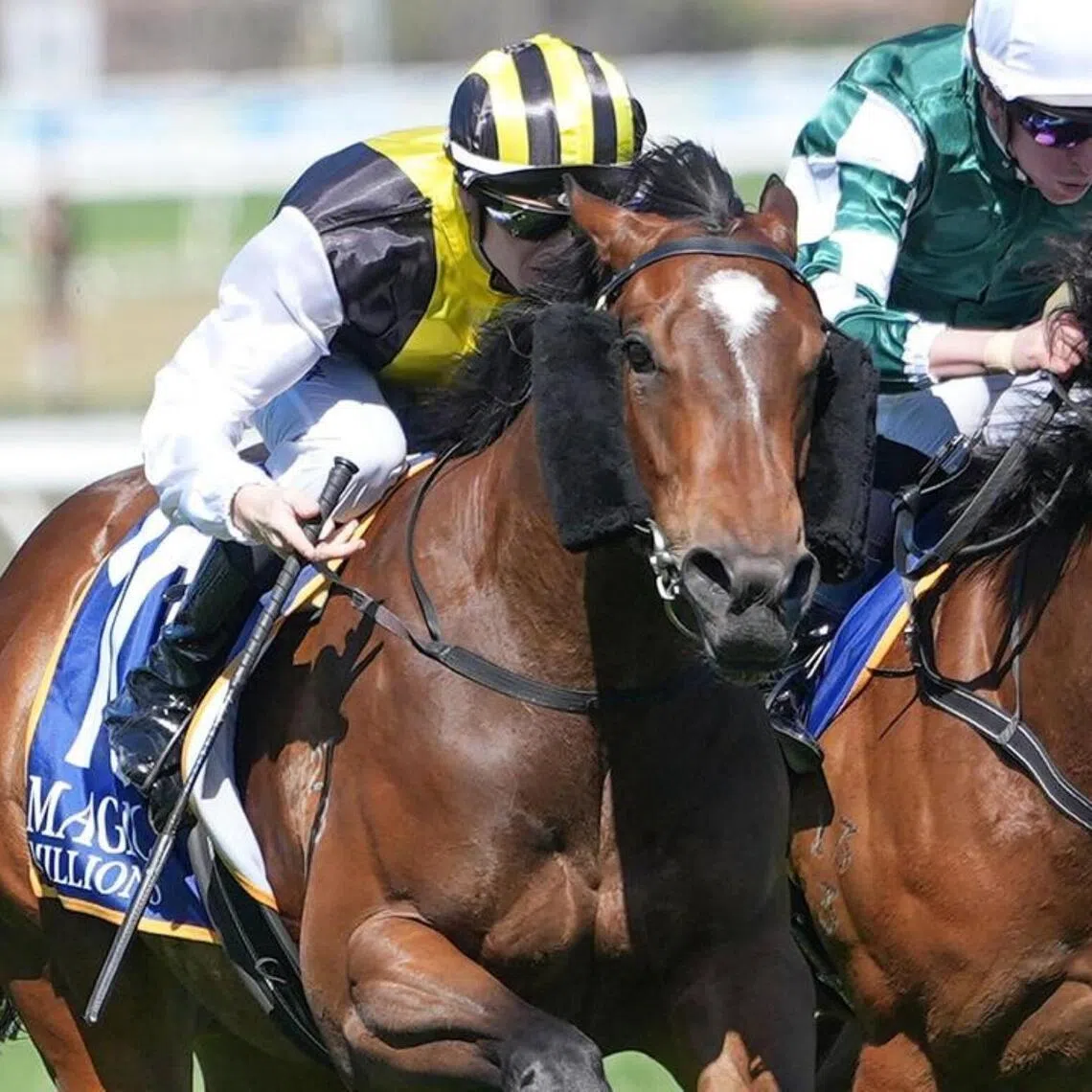 Torture (Ethan Brown) defeating stablemate Free Flying (Michael Dee) to win the Listed Magic Millions Debutant Stakes (1,000m) at her first start at Caulfield on Oct 15, 2025. 
PHOTO:  Racing Photos