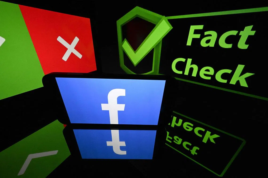 Tens of thousands of Facebook users in France, Germany, Poland and Italy were targeted with cartoons mocking French politicians, messages hostile to European aid to Ukraine and other so-called sponsored content.