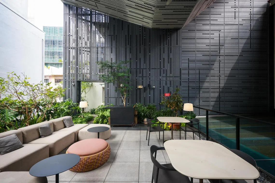 The garden terrace at 21 Carpenter hotel, planted with local flora such as nutmeg and red guava, is a rare slice of lushness in densely built. Chinatown.