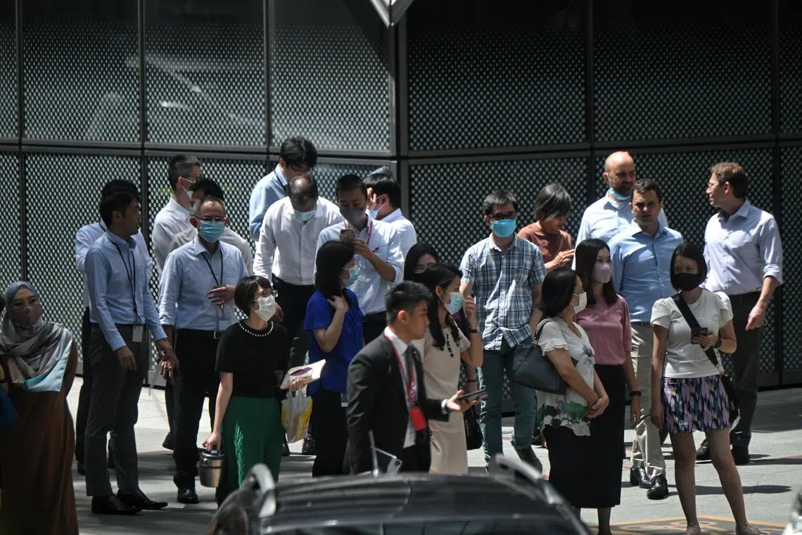 Office workers - some with masks and some without masks waiting to cross Market Street, 22 August 2022.
