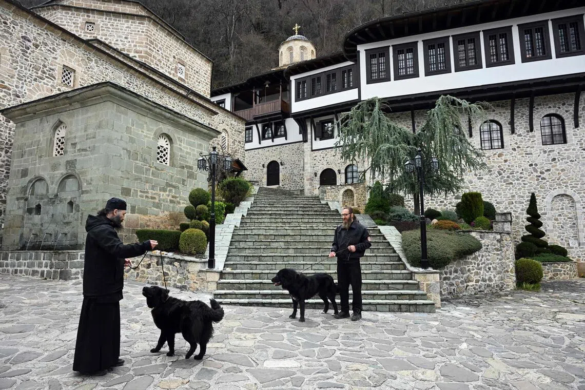 Mountain-made: Balkan sheepdog eyes future beyond the hills