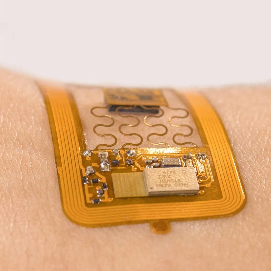 This innovation allows for everyday tracking of vital signs without cumbersome cuffs that require one to sit still or the need to recharge batteries.