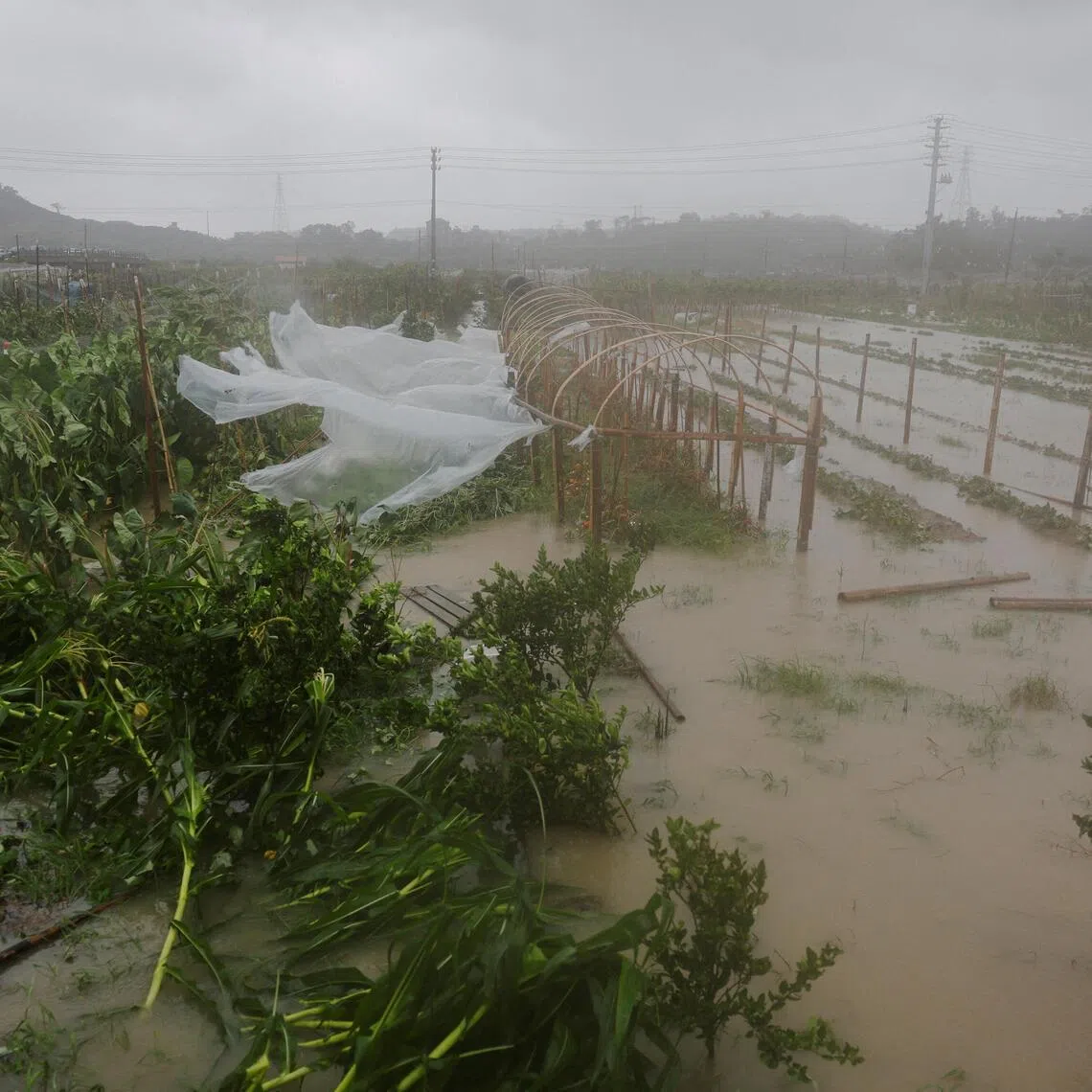Farmland is flooded by heavy rain brought by Typhoon Bavi in Wenzhou, Zhejiang province, China, on July 12.