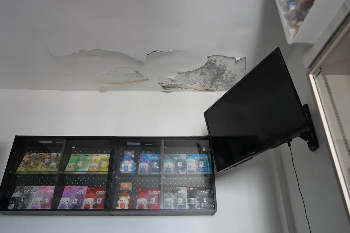 HDB will conduct inspections to find the cause of the condensation and mould before providing “appropriate advice” to flat owners and neighbours.