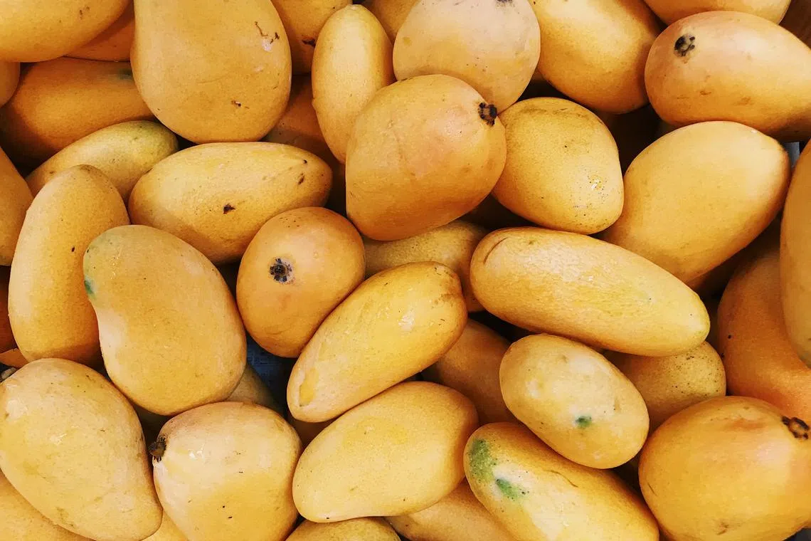 As the world gets warmer, an increasing number of farmers have shifted to relatively more temperature-resistant tropical fruits.