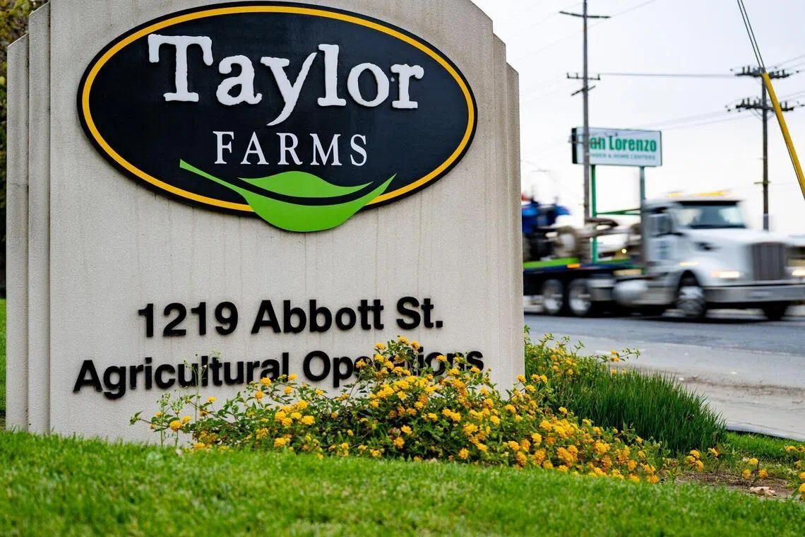 Senator Elizabeth Warren said the influence of Taylor Farms on the administration may have played a role on the government’s response. 