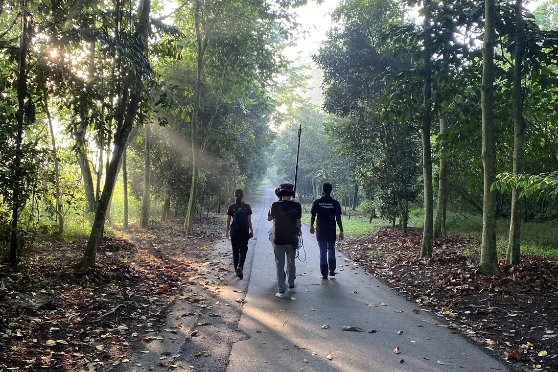 The podcast team recording guests in the middle of a walk at Kranji Marshes.