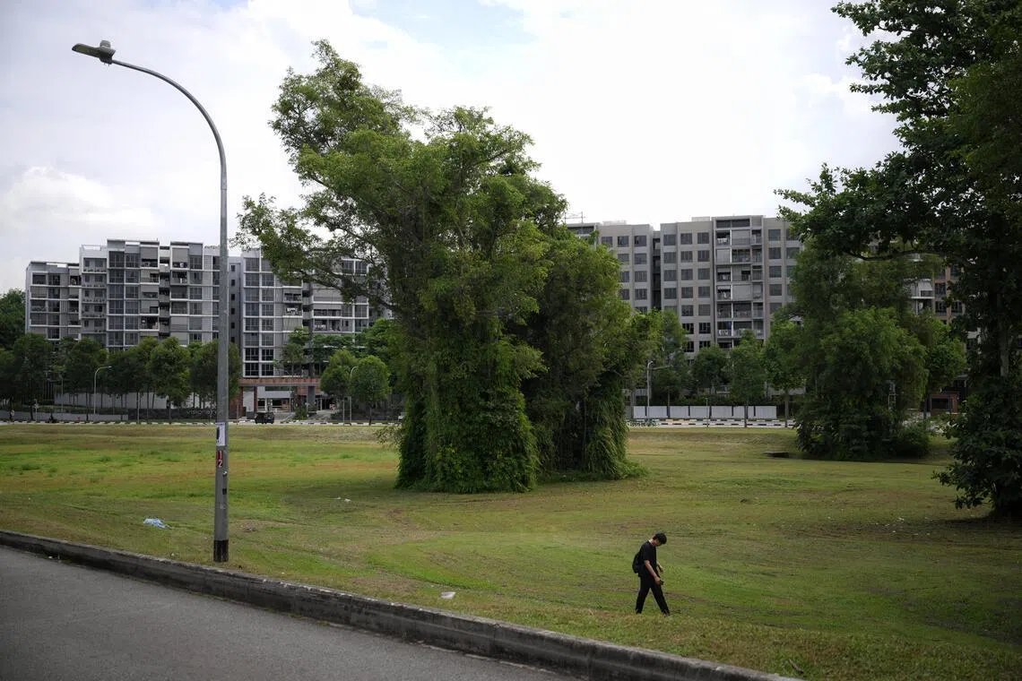 The plot of land along Canberra Drive where Executives Condominiums (EC) will be built on, which will be affected by new measures, pictured on May 8, 2026.