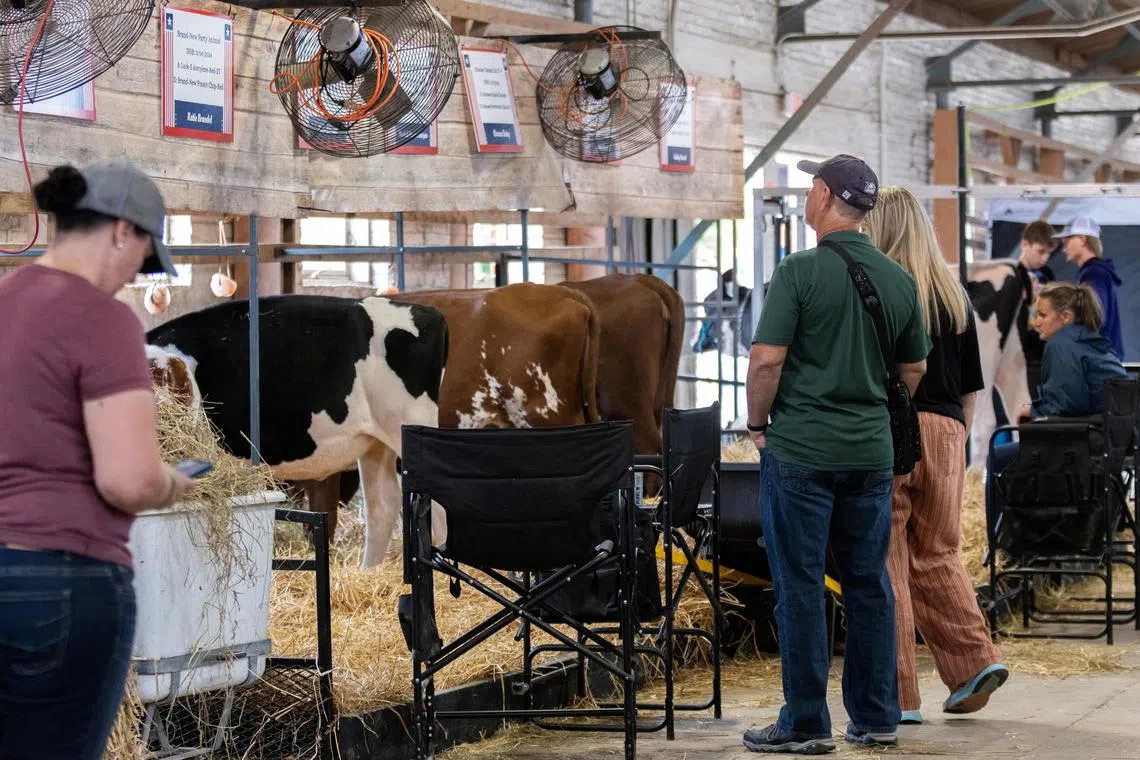 Failure to control H5N1 among American livestock could have global consequences.