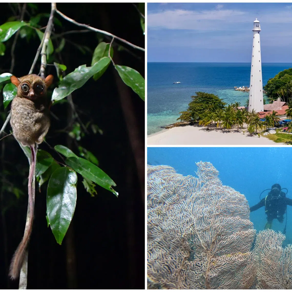 Belitung ticks all the boxes for a tropical island getaway that is a far cry from Bali’s frenetic crowds and traffic.  