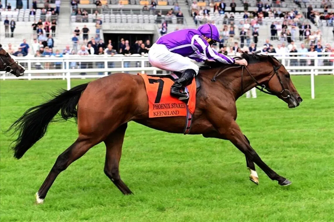 Sun Goddess - Sun Goddess (Ryan Moore) winning the Group 1 Phoenix Stakes (1,200m) at The Curragh on Aug 9.

PHOTO: RACING AND SPORTS
