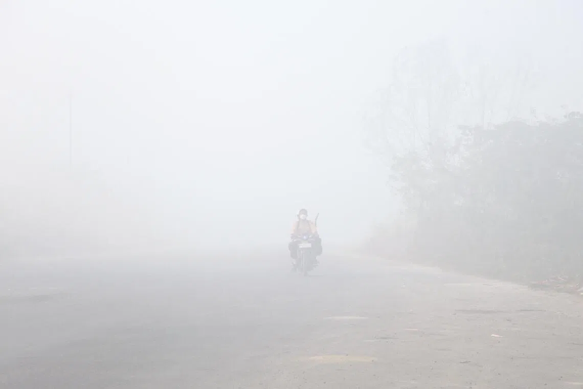 Analysis finds unchecked businesses to blame for raging wildfires in Indonesia