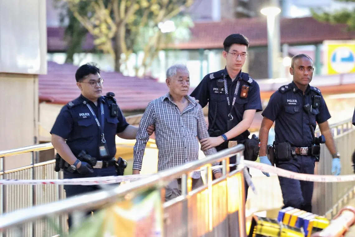 Teo Woo Cheng allegedly 