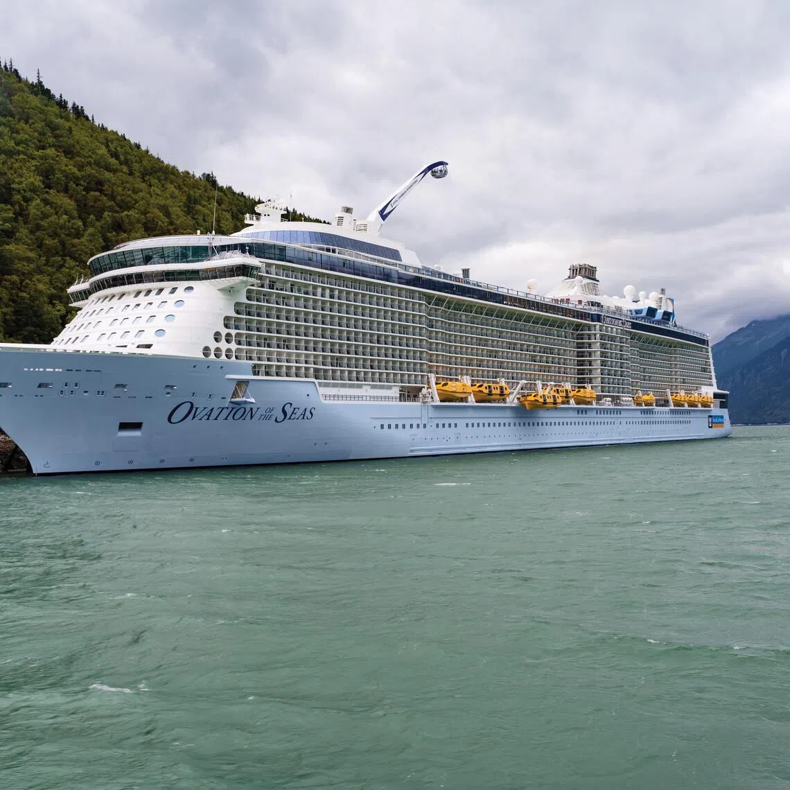 Officials are now investigating how the 18.6m adult female fin whale ended up on top of the “bulbous” bow of the Royal Caribbean vessel Ovation of the Seas.