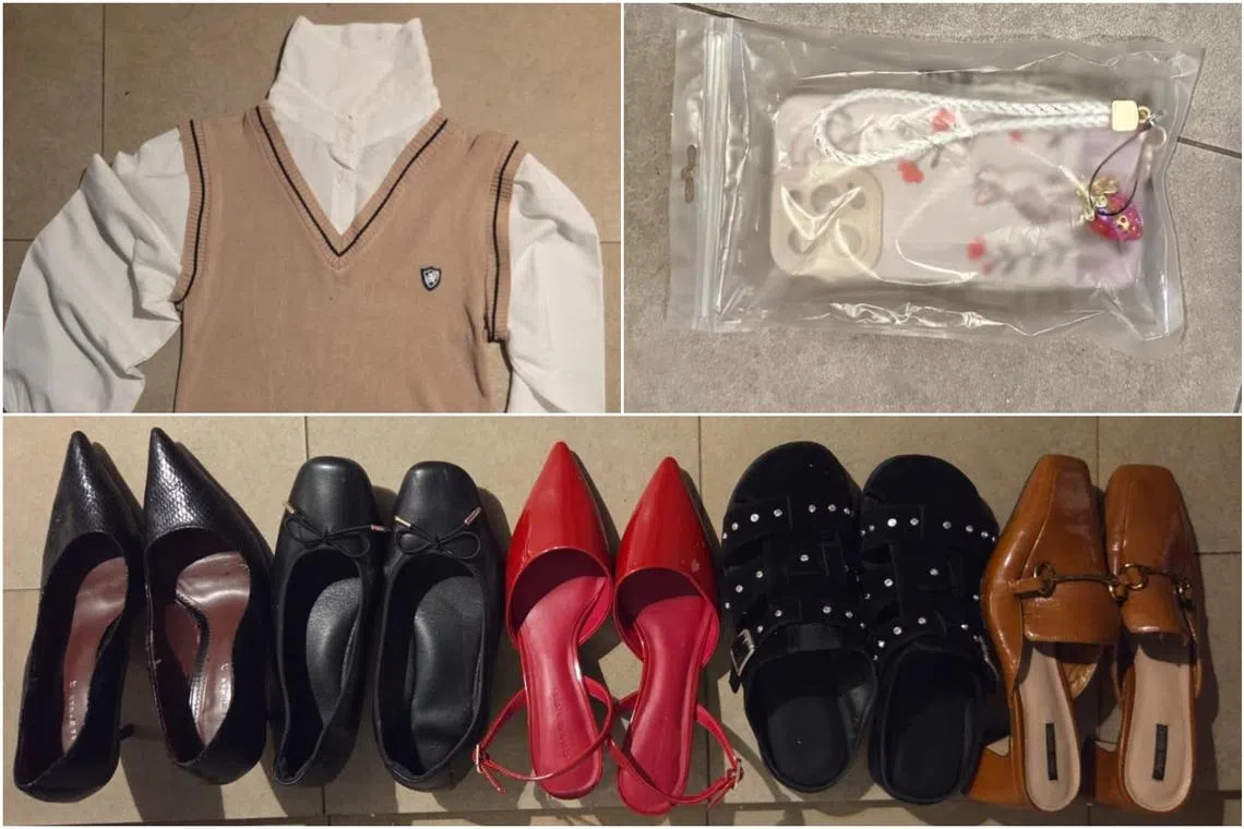 Some of the items seized during Li Zhu's arrest.