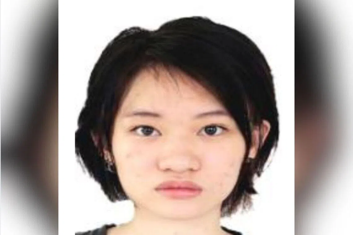 Tan Mei Yi Vivian was last seen wearing a brown jacket and skirt.