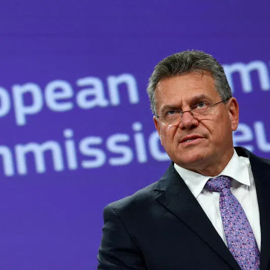 EU trade chief Maros Sefcovic has called China's export controls on rare earths "unjustified and harmful".