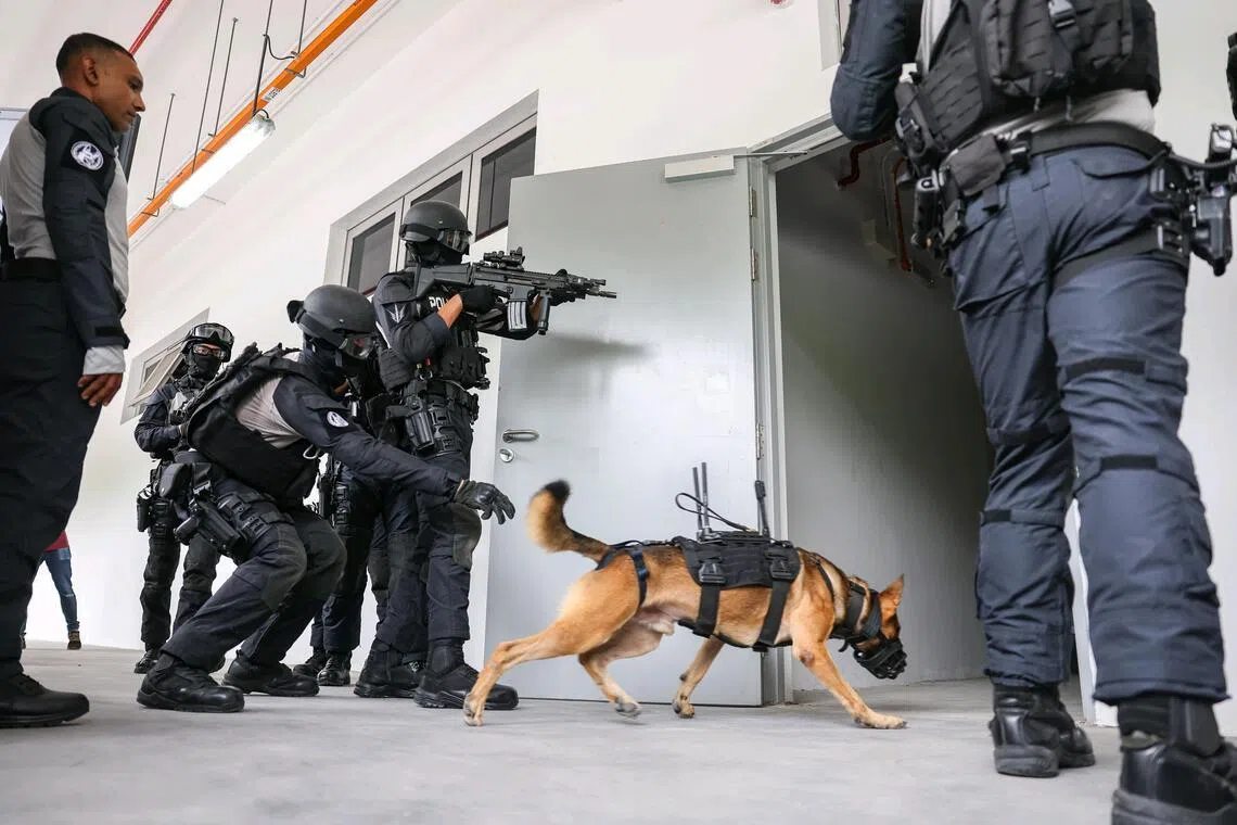 Robo-dogs are coming to take your jobs