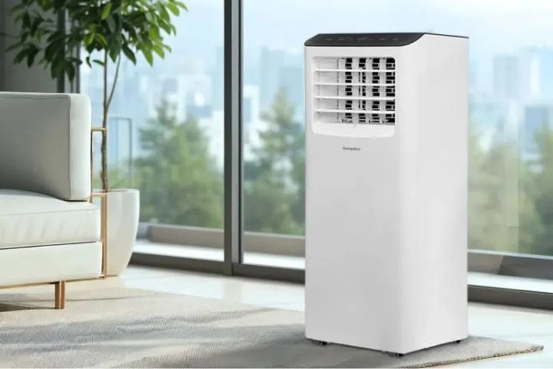 EuropAce Compact Portable Aircon EGAC10A6