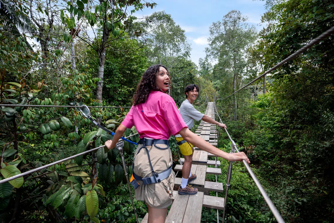 mandai wildlife reserve rainforest wild adventure treetop traverse