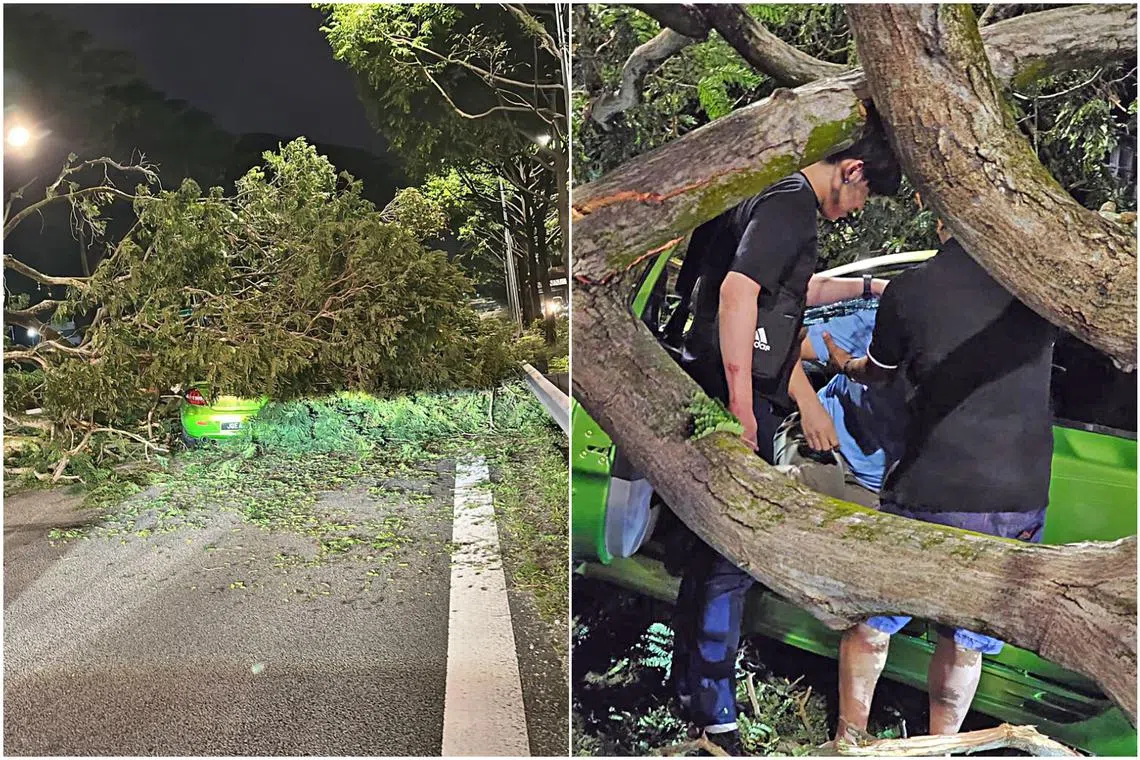 The passenger trapped in the car by the fallen tree on the PIE had to be rescued by two men.