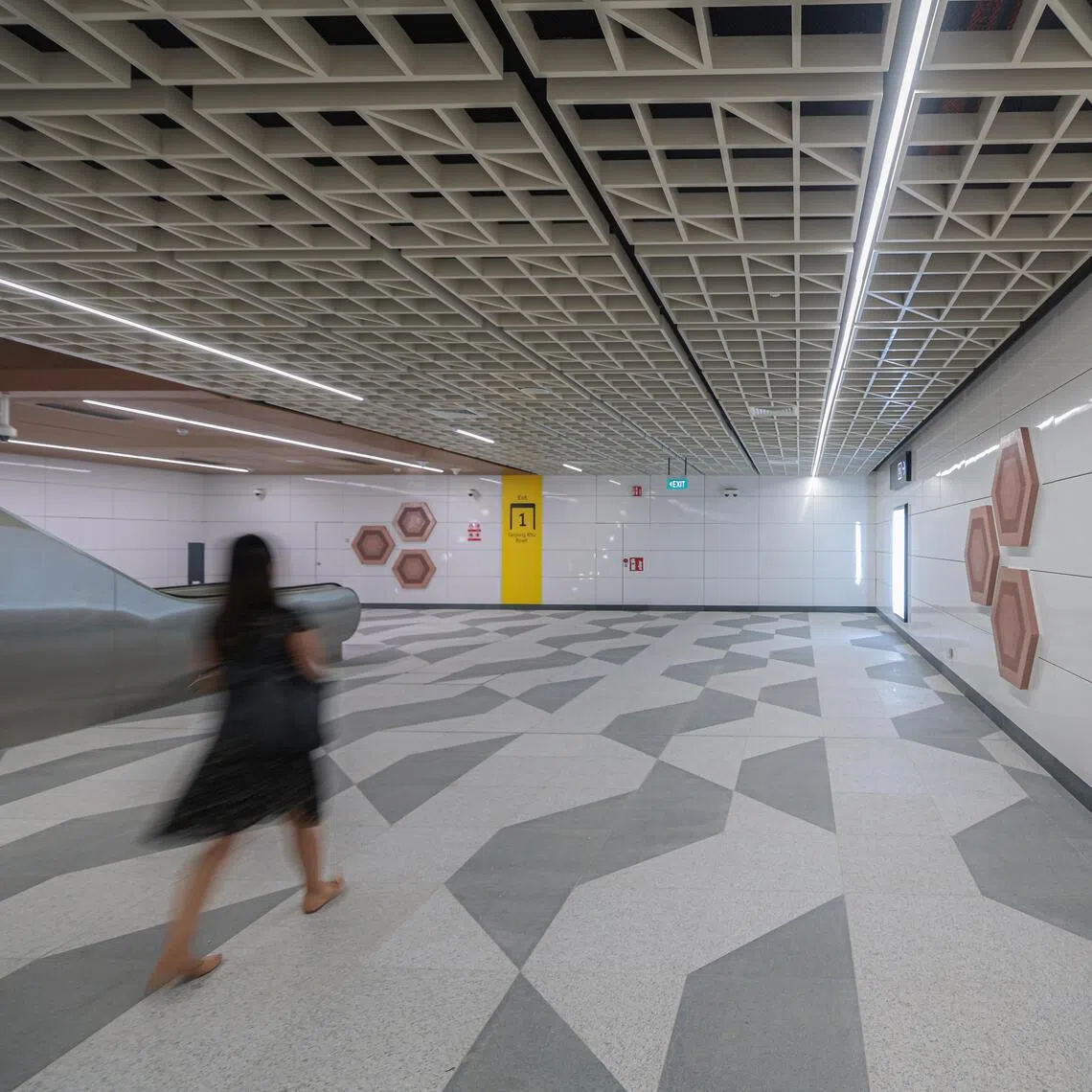 Art panels along a walkway at a Thomson East-Coast Line MRT station.