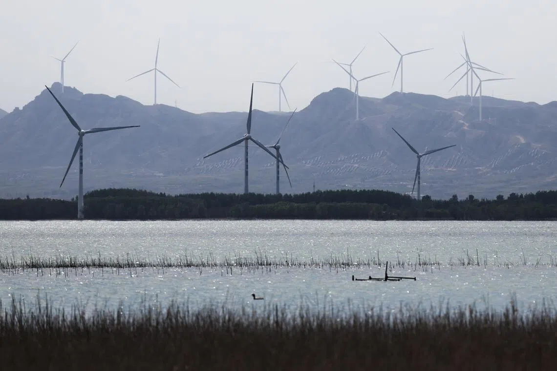 straitstimes.com - China green tech titans woo new consumers hit by Iran war energy shock