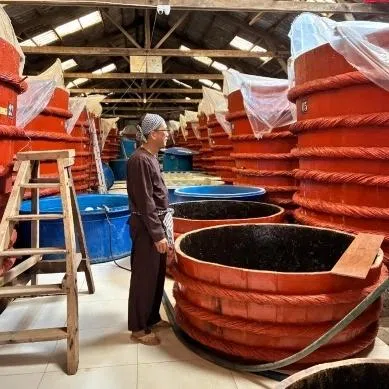 Mr Ha Tan Tai (keft) in Dai Duc fish sauce factory. Nha Trang (right) is one of larger companies that still produce fish sauce by traditional methods.
