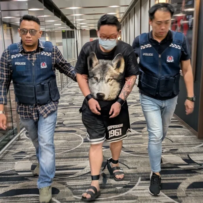 Seah Jianhao (left) and Ong Kwang Wee were hauled to a district court on Nov 13 after being deported from Thailand and Cambodia. 