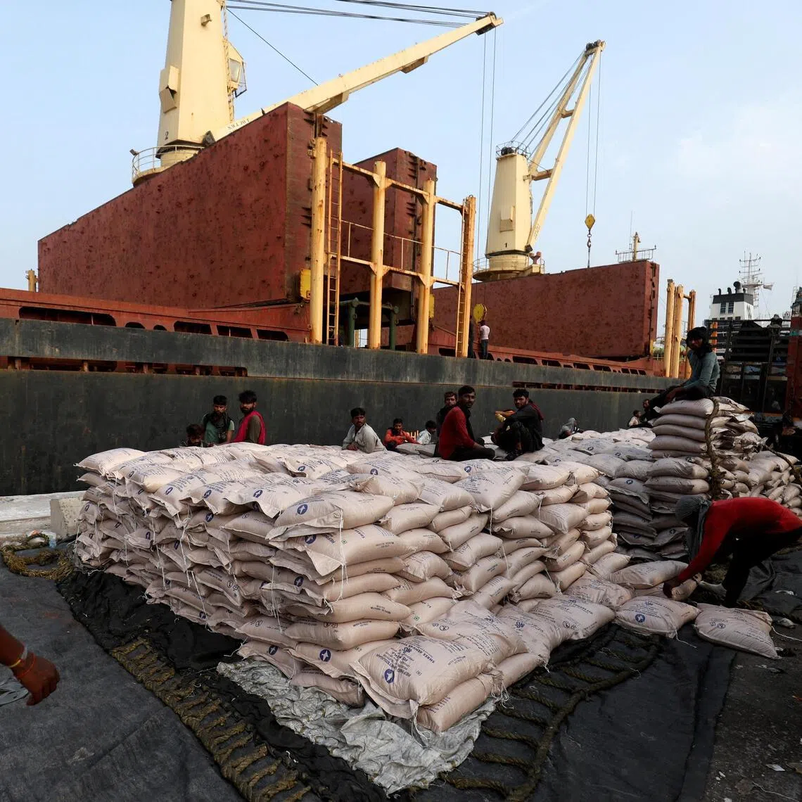 A worker arranges sugar bags in a net to load them onto a cargo ship at the Deendayal Port in Kandla, in the western state of Gujarat, India, on Sept 25, 2024.