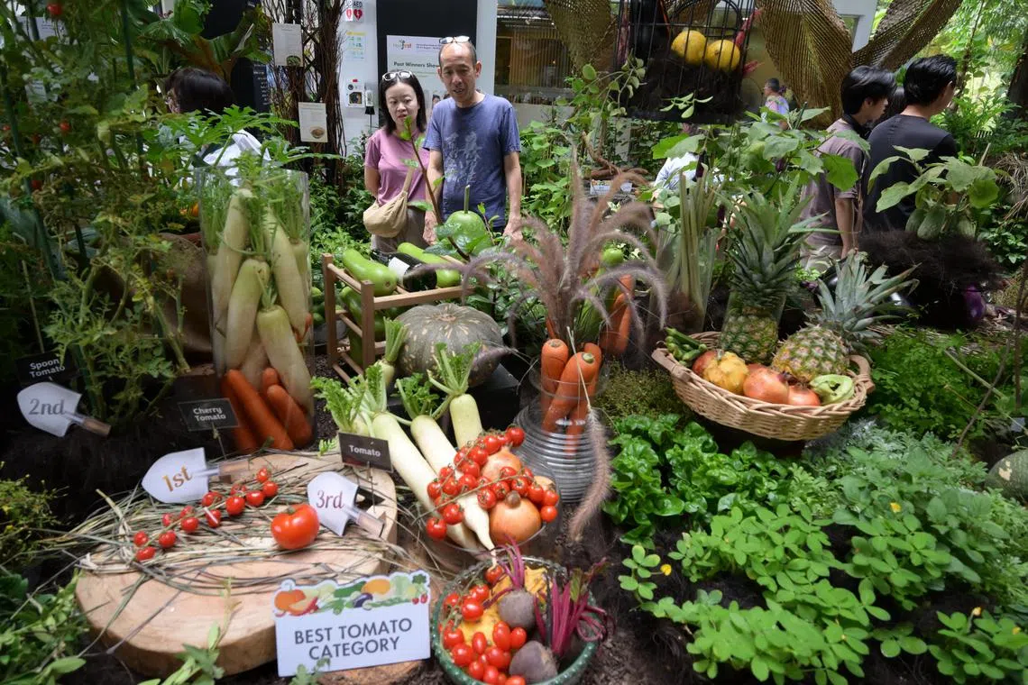 Visitors at the edibles section of the Horticultural Festival at HortPark on Aug 23.