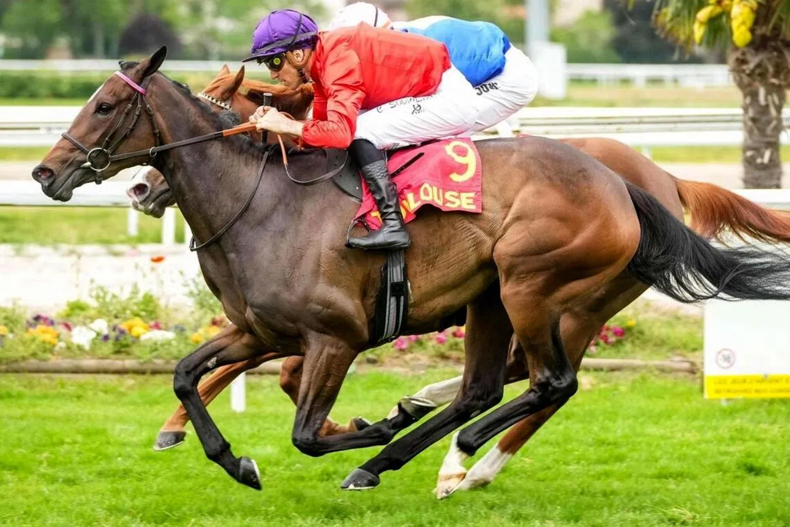 Lapotheose - Lapotheose is unbeaten in four starts in France and will start as the favourite to notch a first overseas success in the Group 1 Preis der Diana (2,200m) in Dusseldorf on Aug 2.

PHOTO: SCOOPDYGA