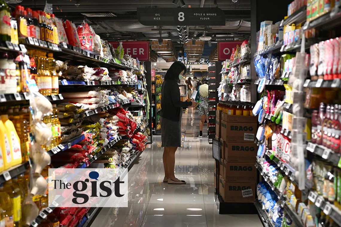 WP chief Pritam Singh said the inflationary environment and rising prices have contributed to “a cost-of-living crisis” for some Singaporeans.