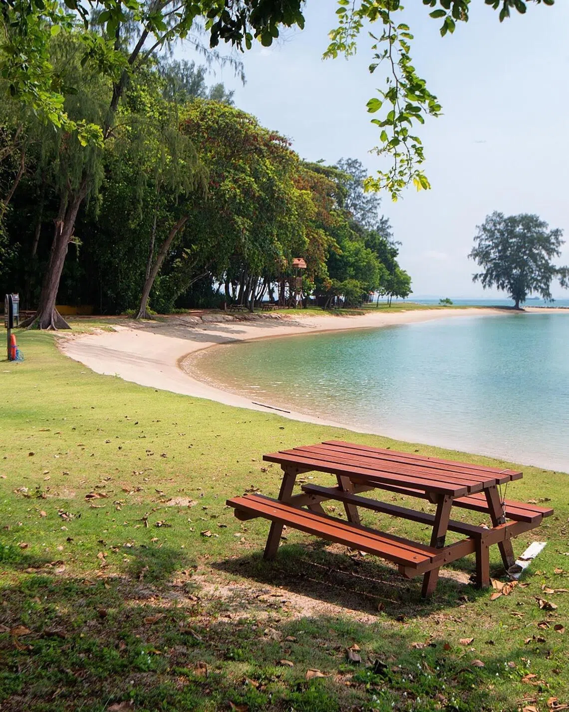 The Singapore Land Authority also stewards some islands, including St John’s Island.