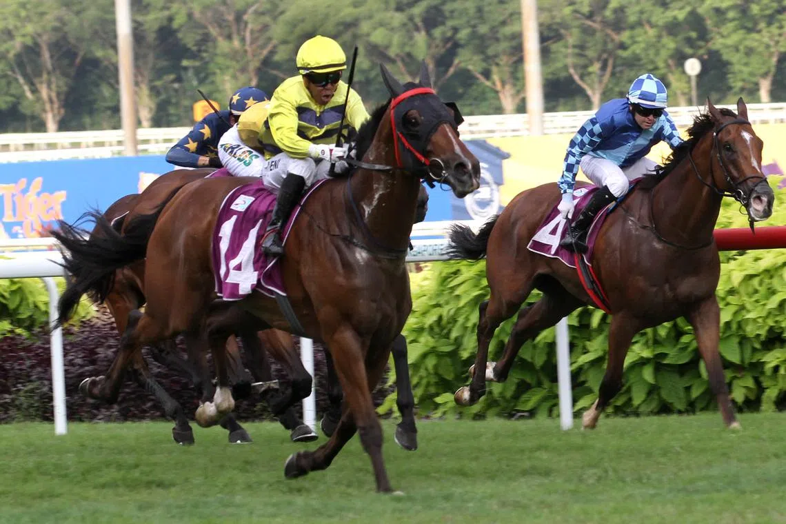 Thousands gather to witness final horse races at Singapore Turf Club ...
