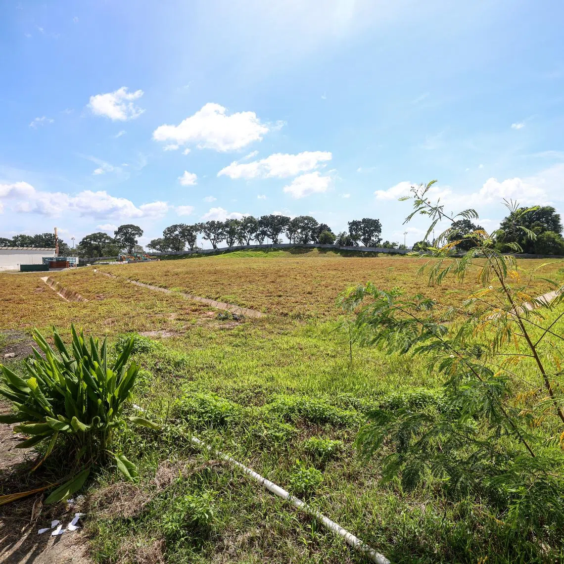 The Miltonia Close site spans 15,451 square metres with a gross floor area of 43,264 sq m.