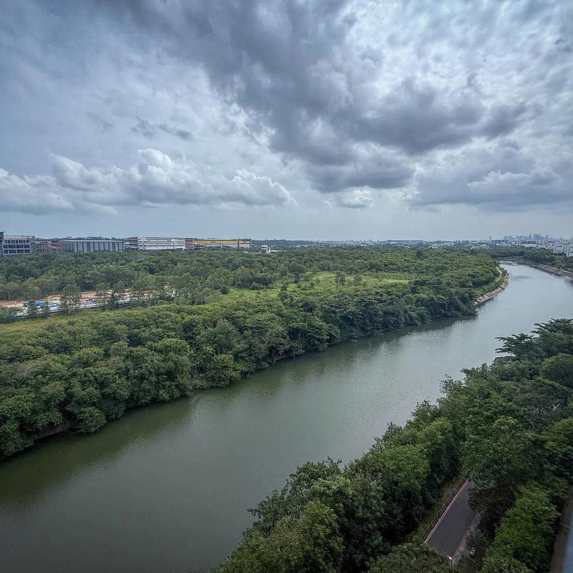 A bus depot under construction in Serangoon River forest on Jan 5.