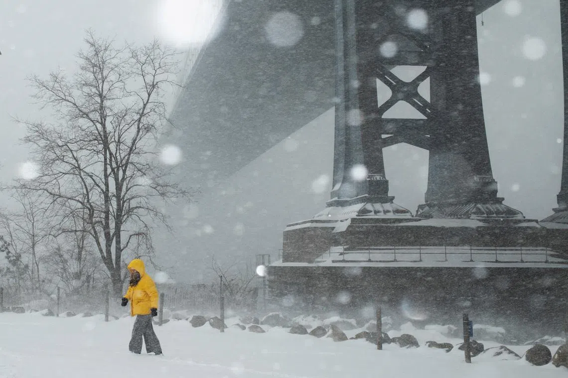 A person walking amid a major winter storm spreading across a large swath of the United States, in Brooklyn, New York City, US, on Jan 25, 2026. 