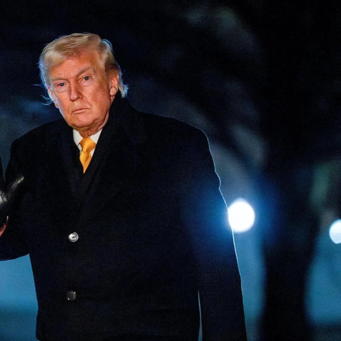 US President Donald Trump complained that Canada owned both sides of the bridge and used “virtually” no US products to build it.